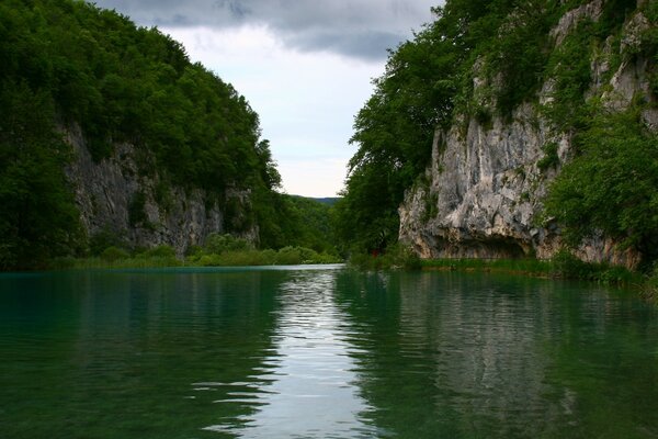 Überwachsene Felsen im Flussbett