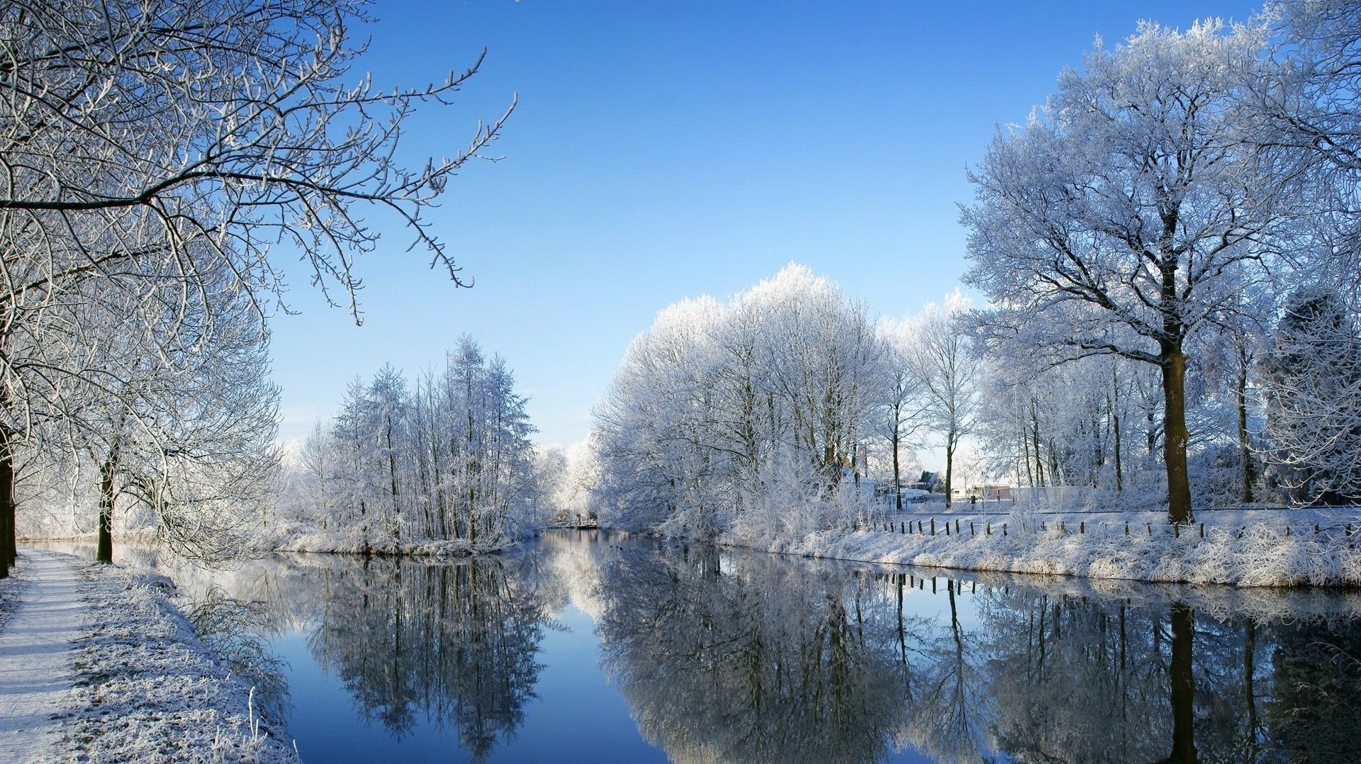 ríos estanques y arroyos estanques y arroyos invierno nieve frío árbol escarcha temporada paisaje madera congelado naturaleza tiempo rama hielo parque escénico escena brillante