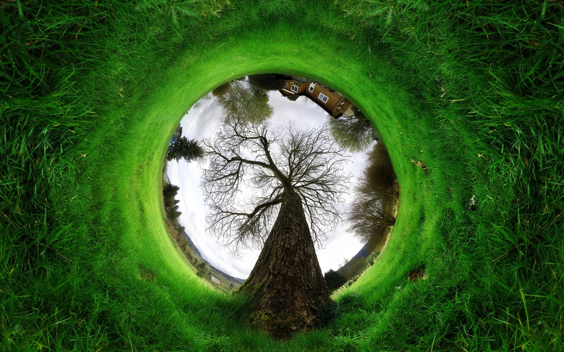 paisaje hierba naturaleza medio ambiente paisaje ecología en forma de bola césped hoja verano al aire libre parque espectáculo luz campo flora madera fantasía árboles verde