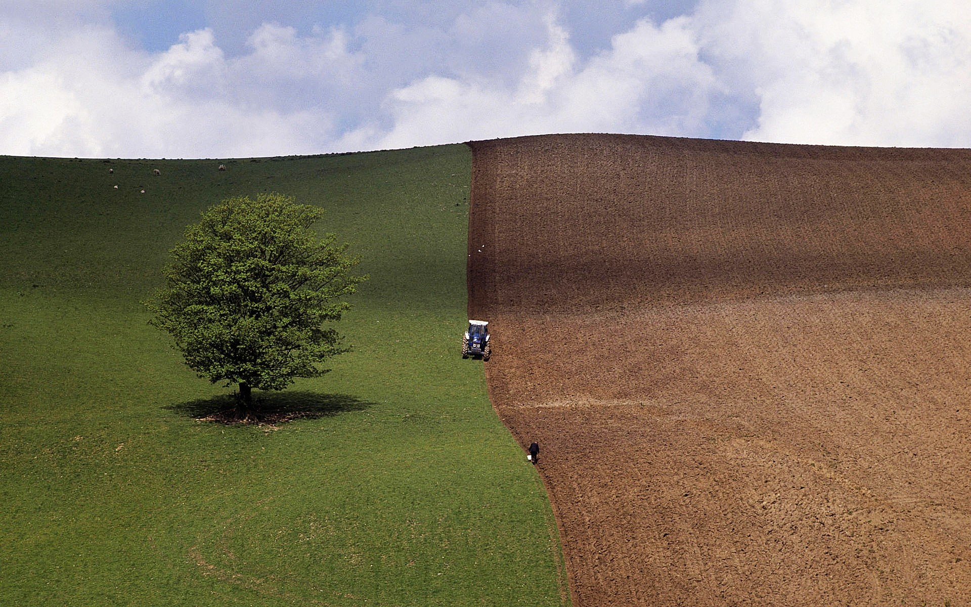 primavera paesaggio agricoltura cielo campo all aperto erba albero terreno coltivato azienda agricola natura campagna