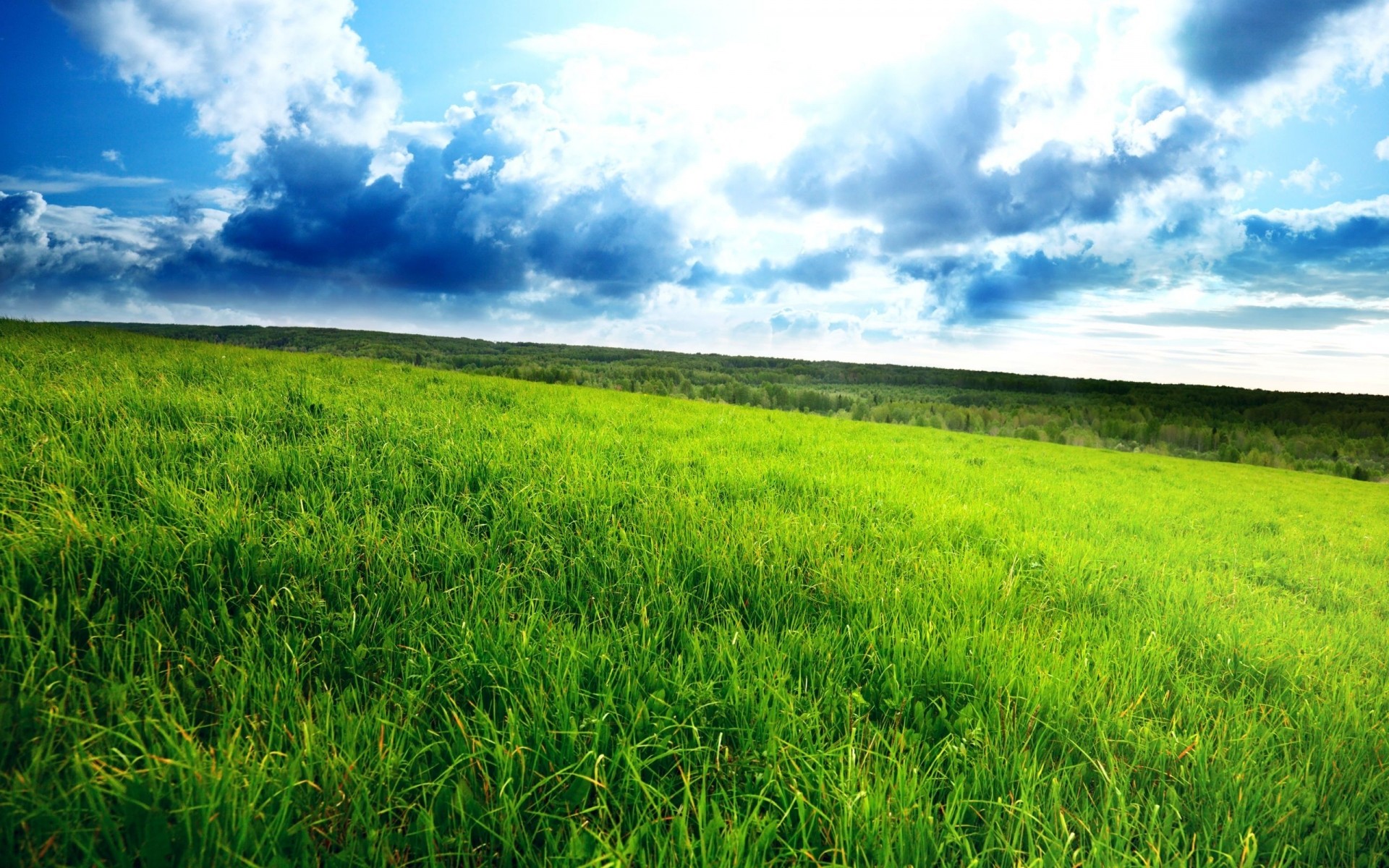 paisaje campo hierba heno paisaje naturaleza verano rural horizonte flora suelo cielo nube agricultura crecimiento temporada escena granja país medio ambiente primavera vista