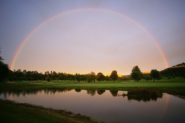 Multicolored arc on the background of the forest