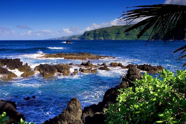 Paisaje marino con playa y arrecifes