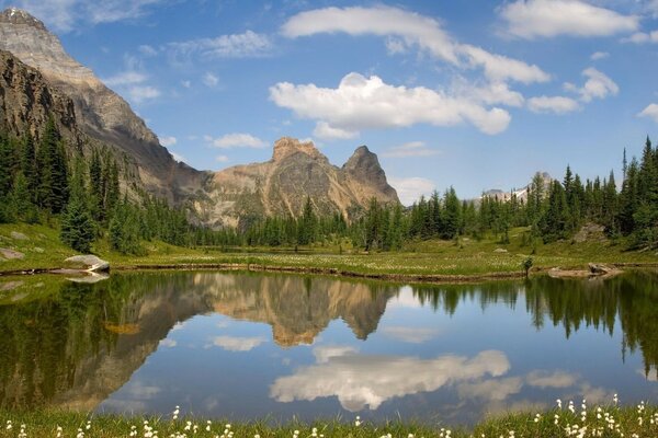 Lago de verano con montañas y bosque en el fondo