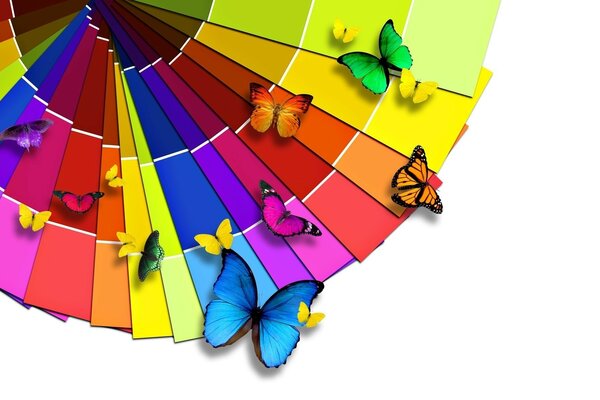 Multicolored butterflies on a motley background