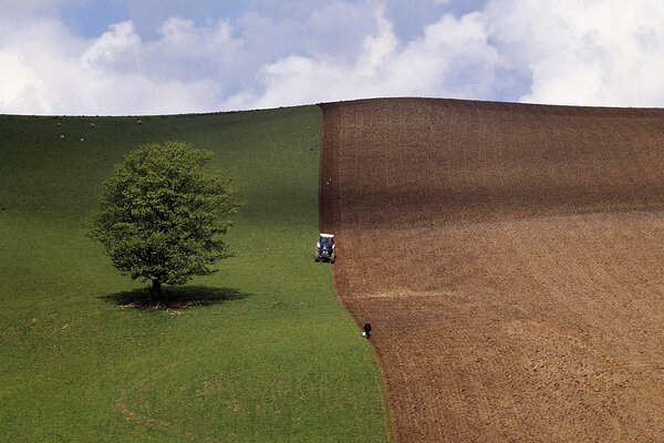 The spring field merges with the sky on the horizon