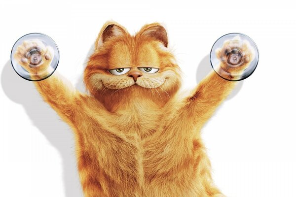 El gato garfield en las ventosas pesa por las patas