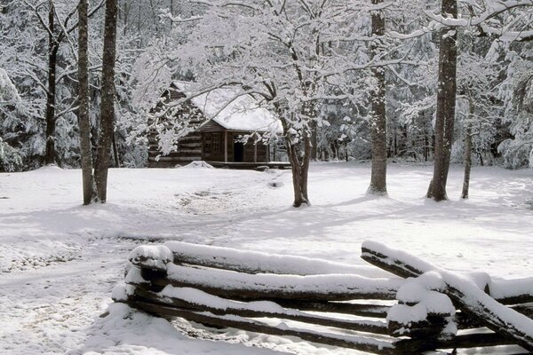 Casa en el borde nevado del bosque