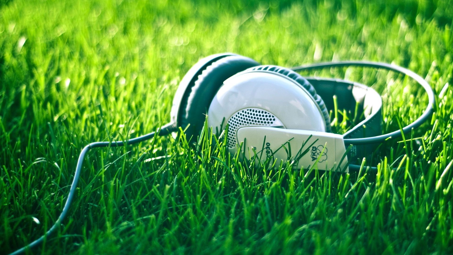 música hierba césped golf campo heno verano naturaleza ocio tierra césped al aire libre pelota jardín patio