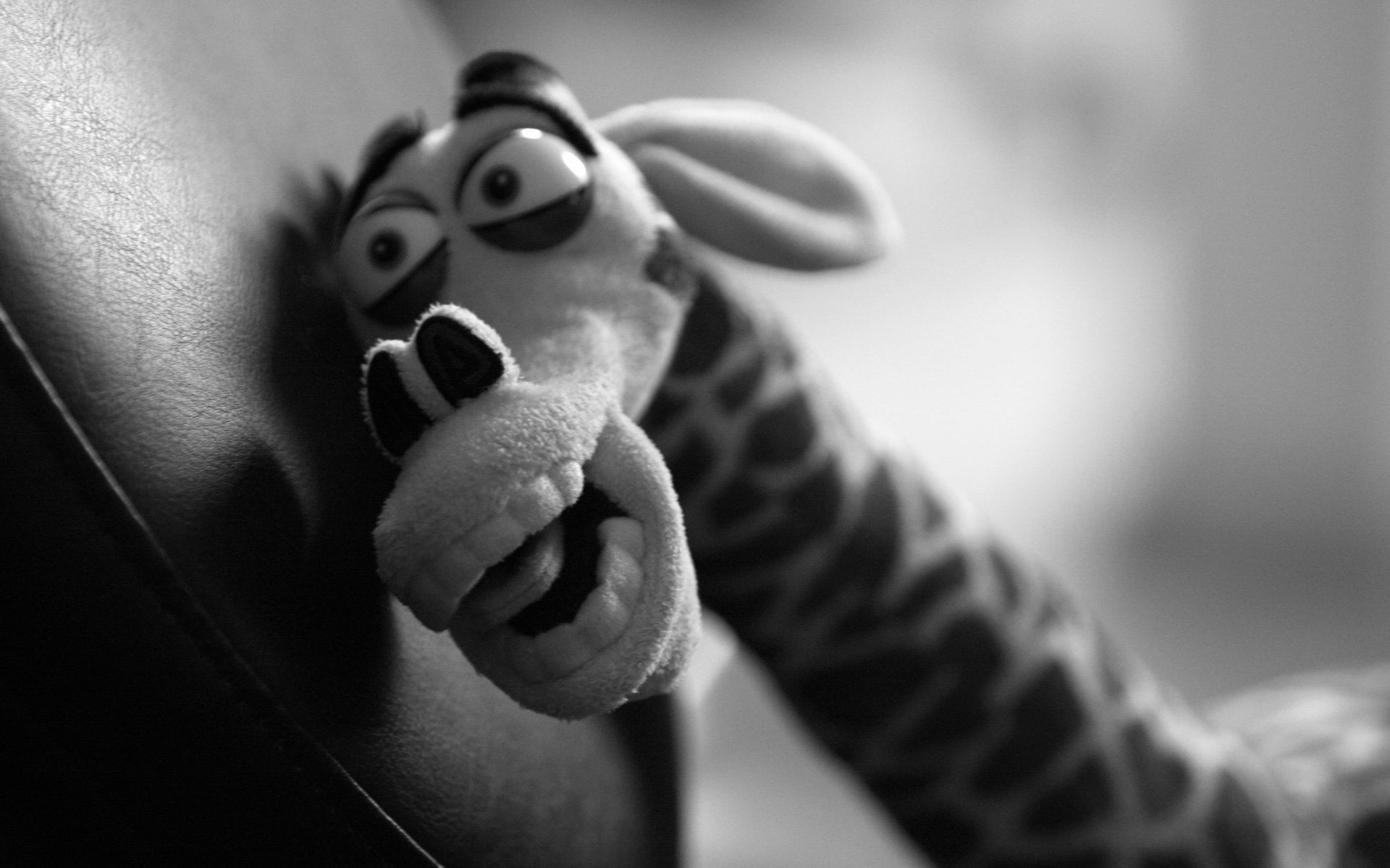 монохромный человек портрет взрослый один девушка черный и белый женщина ноги доф ню руки