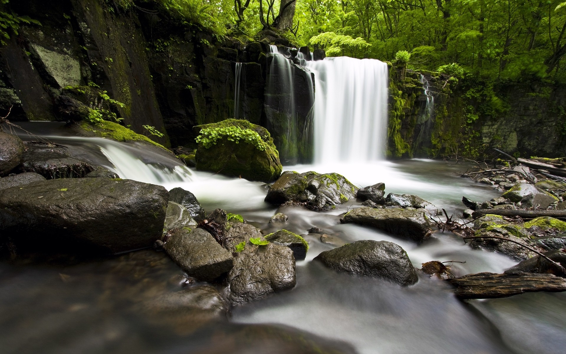 japan waterfall water stream river flow creek cascade rock nature fall moss splash wood leaf landscape motion travel outdoors wet