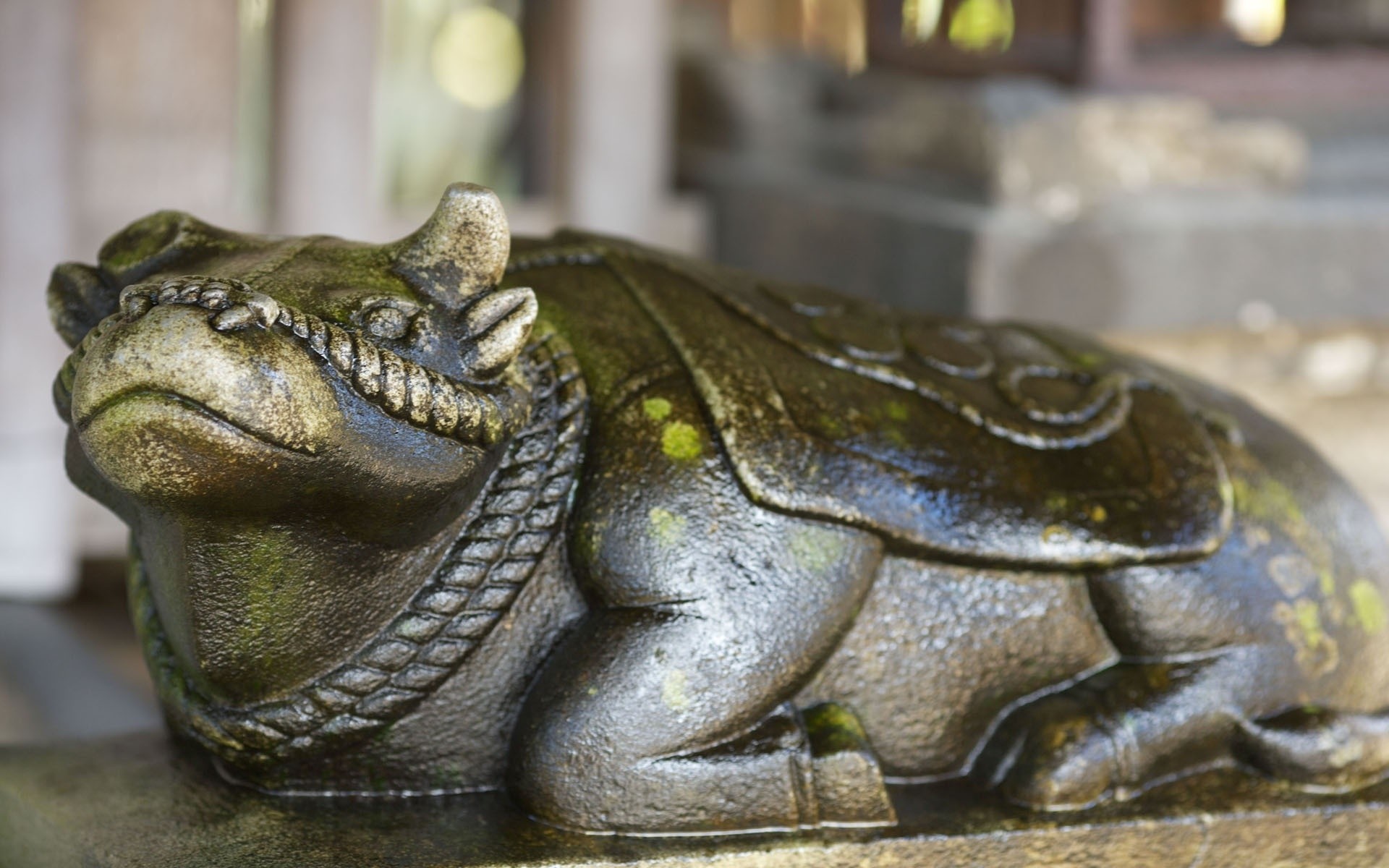 japón gazoo animal anfibio vida silvestre cocodrilo naturaleza lagarto cocodrilo escultura zoológico