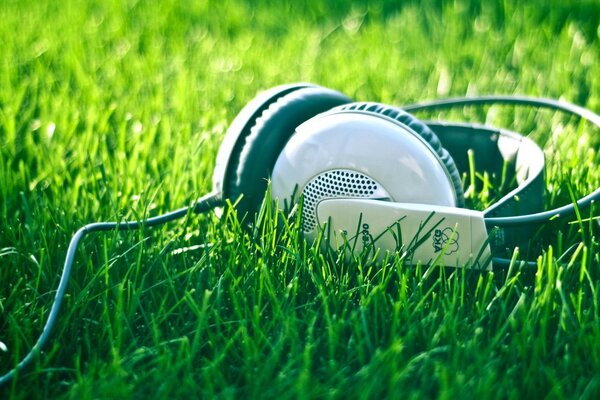 Música em fones de ouvido no gramado verde