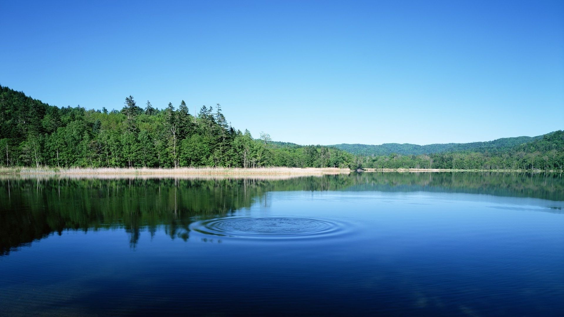 lago acqua riflessione natura fiume all aperto cielo legno albero paesaggio viaggi scenico estate