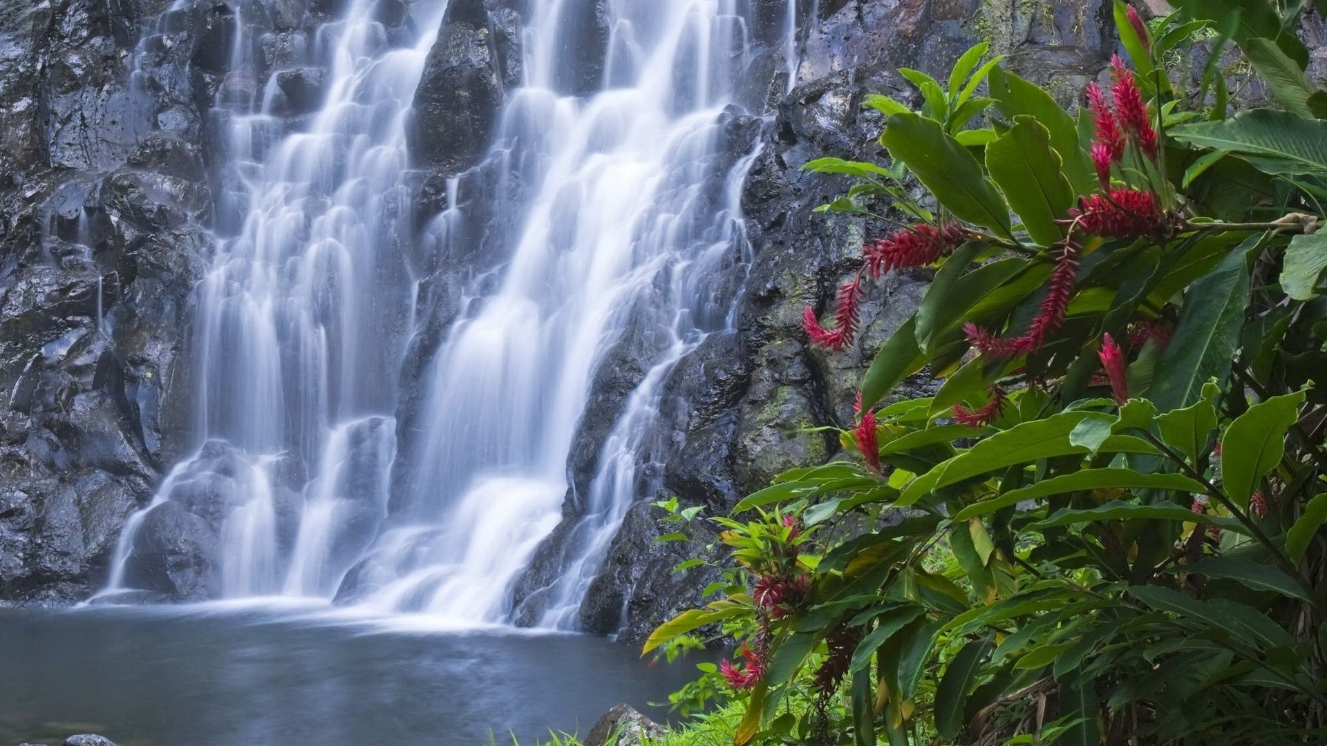водопады водопад природа воды лист древесины река поток на открытом воздухе осень тропический дерево каскад пейзаж лето поток дикий рок путешествия парк