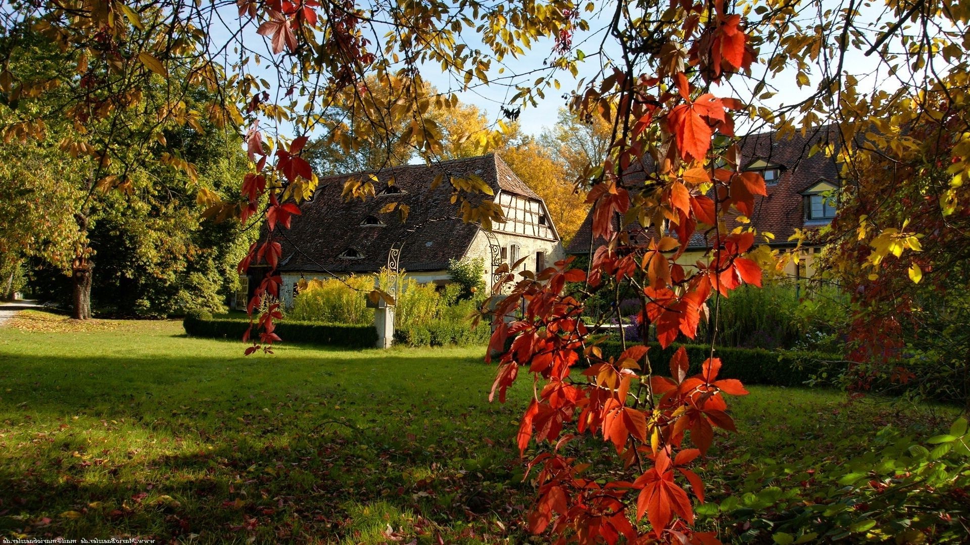 case e cottage albero foglia autunno stagione parco giardino all aperto natura ramo fiore di colore flora maple vivid paesaggio