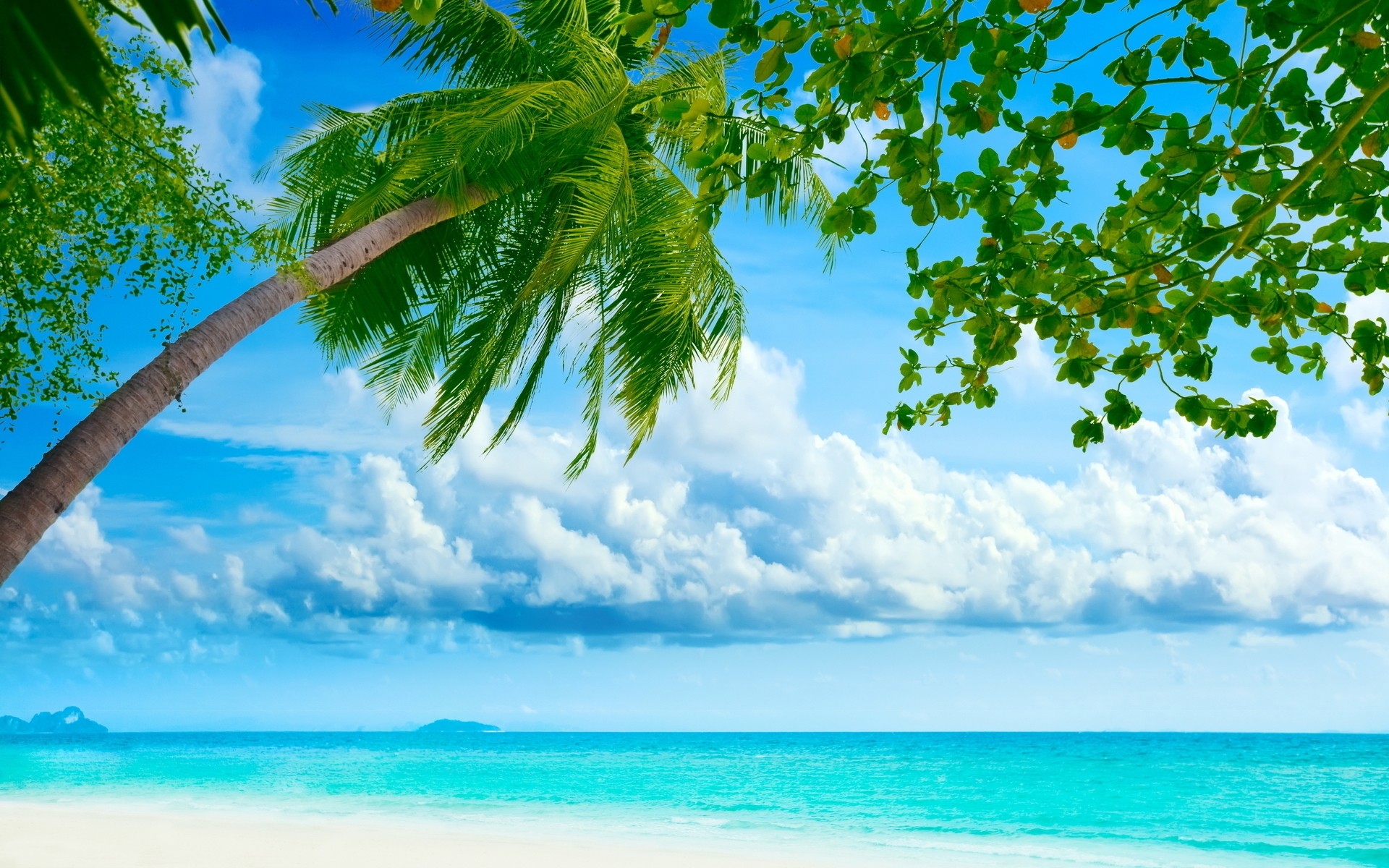 estate tropicale sole natura acqua idillio spiaggia cielo albero bel tempo sabbia paradiso turchese viaggi paesaggio isola paesaggio oceano esotico sfondo palme mare blu