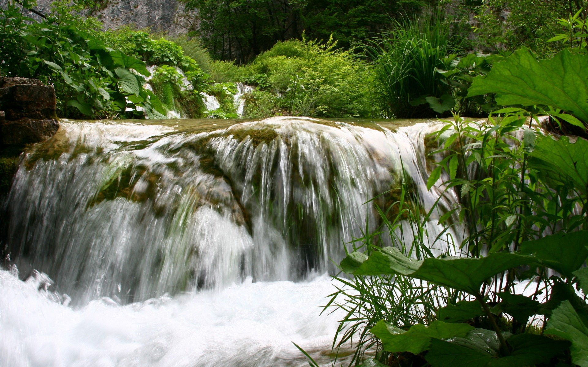 paisagens água natureza cachoeira madeira folha córrego rio paisagem ao ar livre córrego selvagem verão ambiente cascata selva tropical árvore molhado viagem verde árvores