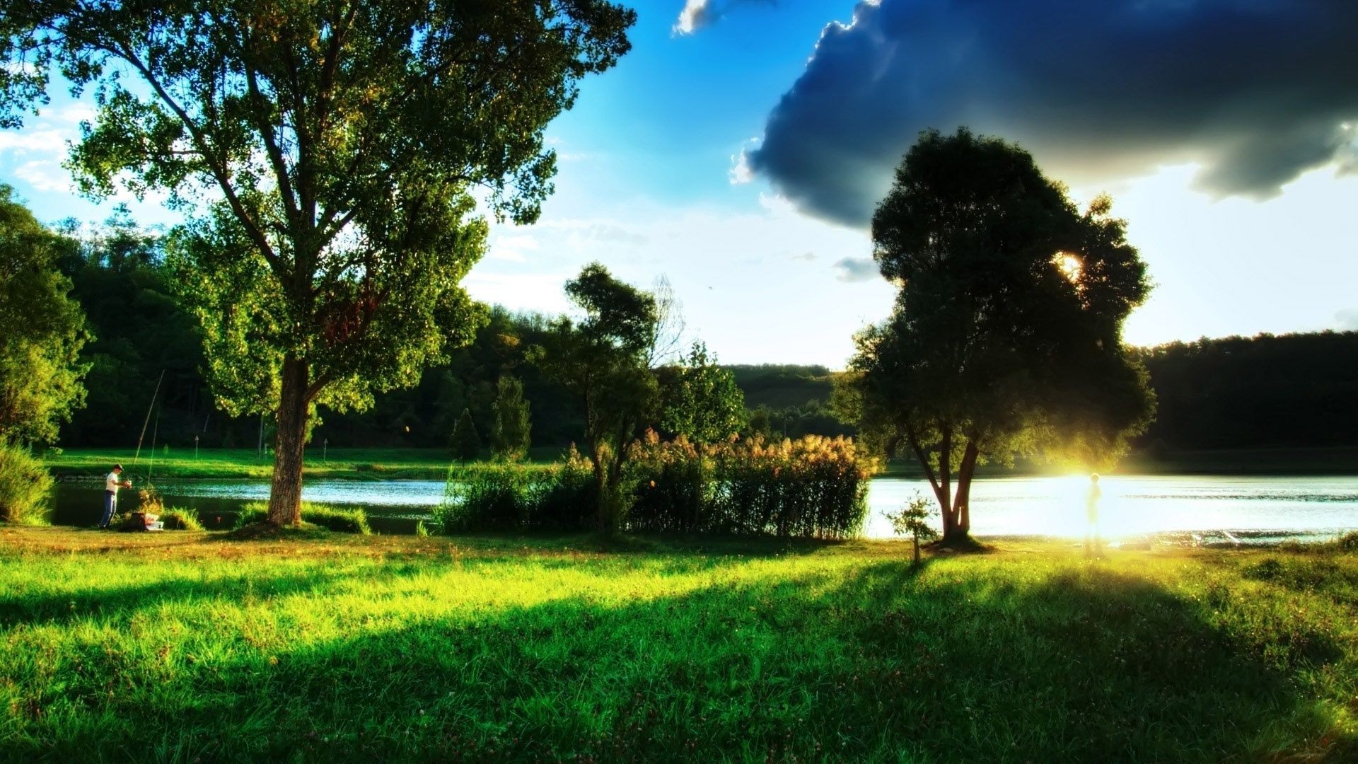 landschaft baum gras landschaft natur park sonne im freien gutes wetter heuhaufen sommer des ländlichen dämmerung rasen landschaft feld umwelt holz landschaftlich himmel