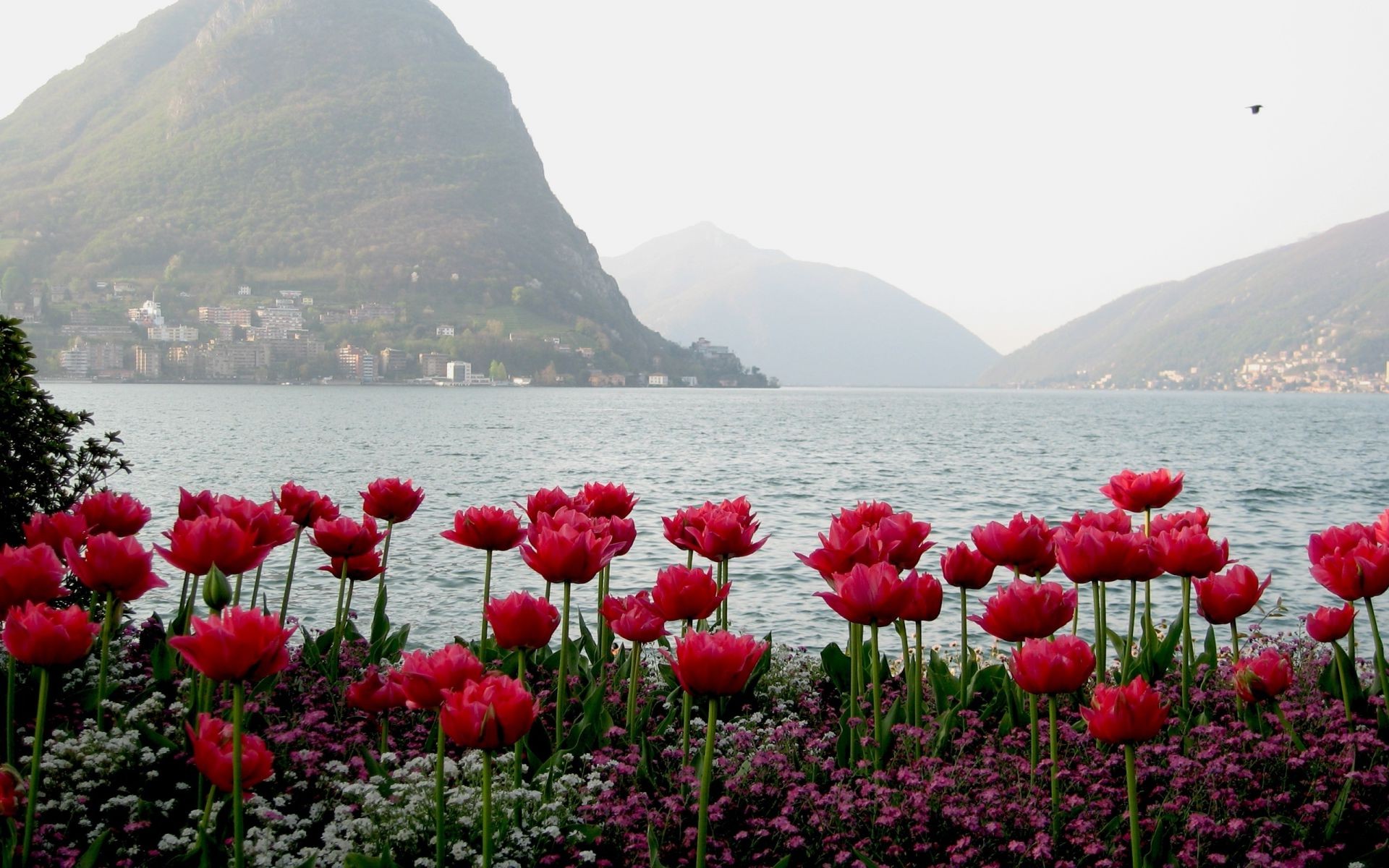 fields meadows and valleys nature water flower landscape summer outdoors seashore sea travel flora