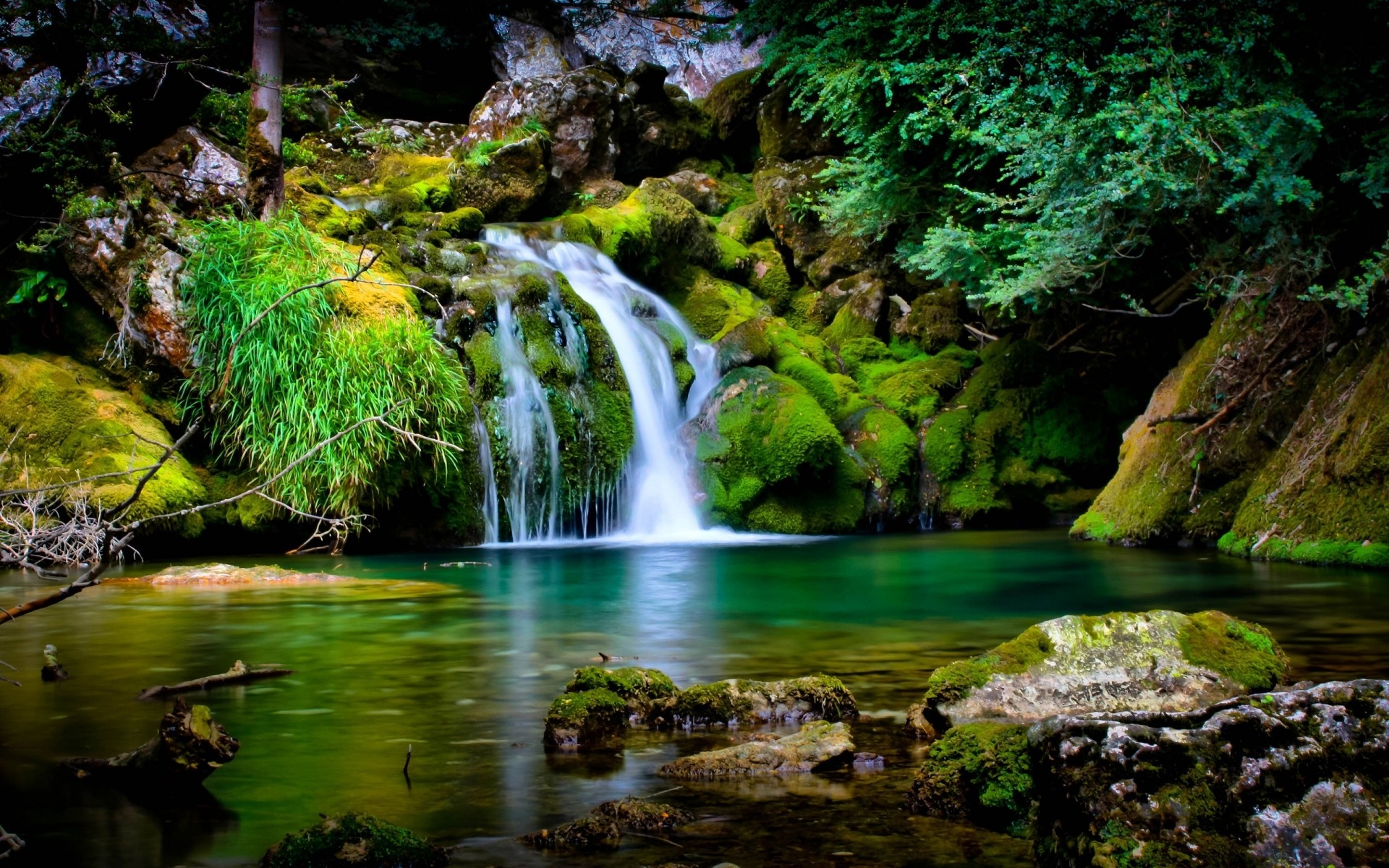 paysage eau cascade nature rivière ruisseau bois à l extérieur flux feuille rock ruisseau voyage cascade paysage mouvement mousse automne splash humide vert printemps