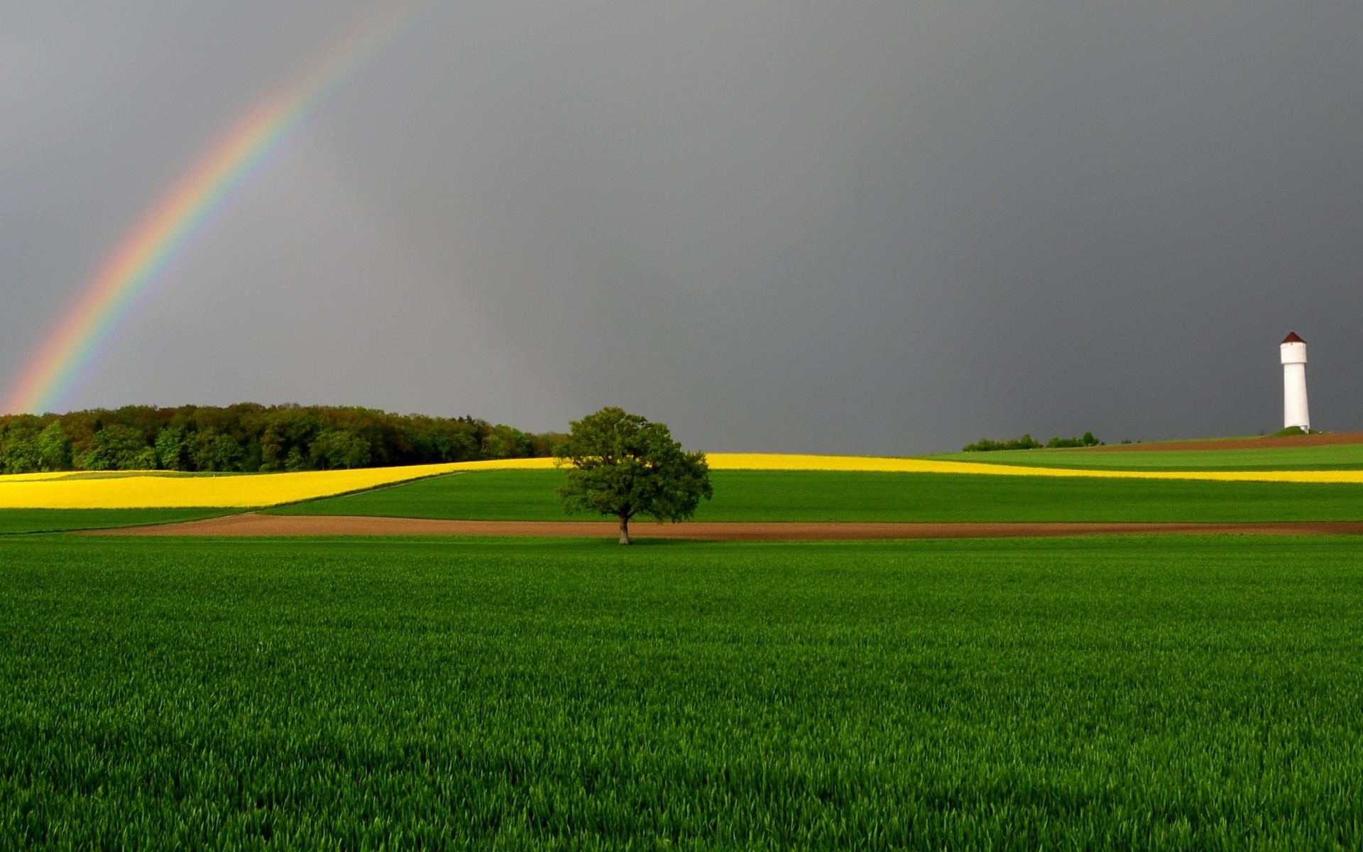 paysage arc-en-ciel l agriculture champ ferme paysage herbe ciel rural terres cultivées campagne foin à l extérieur pluie tempête nature blé été paysages