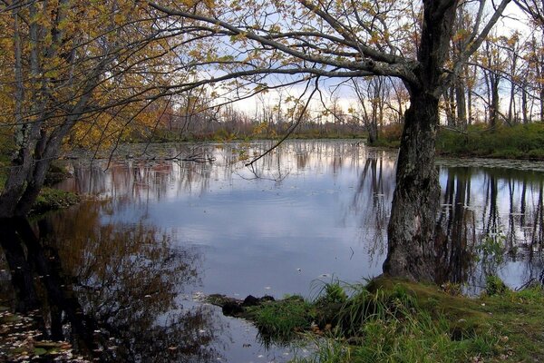 Der Herbstteich und die Ruhe rundherum