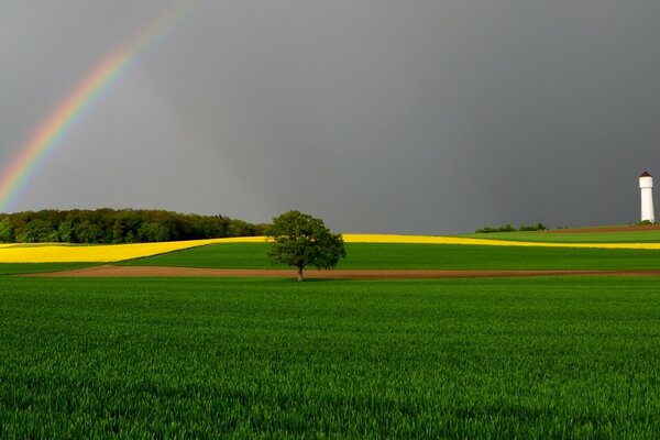 Bright rainbow in green polepirs