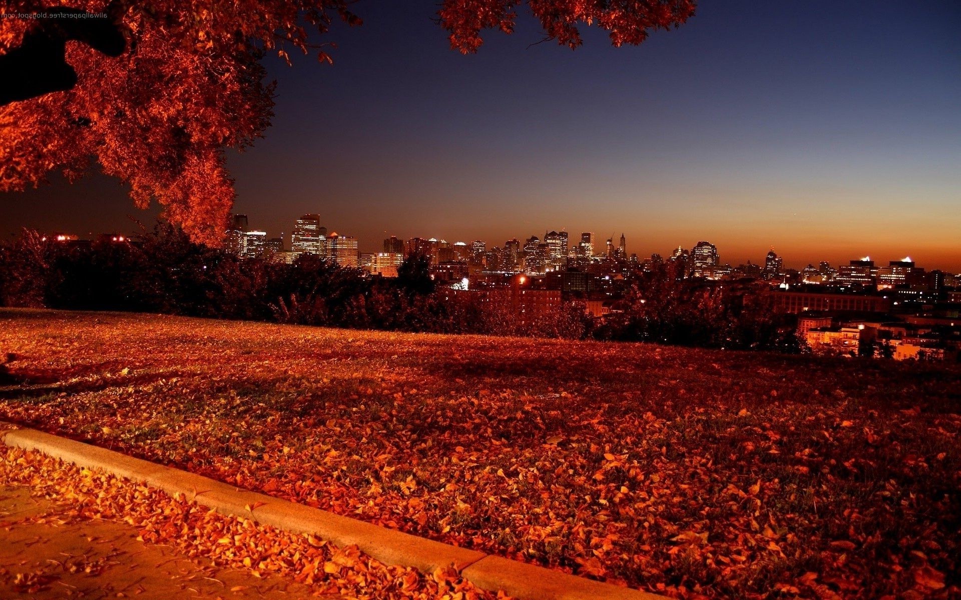 puesta de sol y amanecer otoño puesta de sol noche amanecer al aire libre árbol