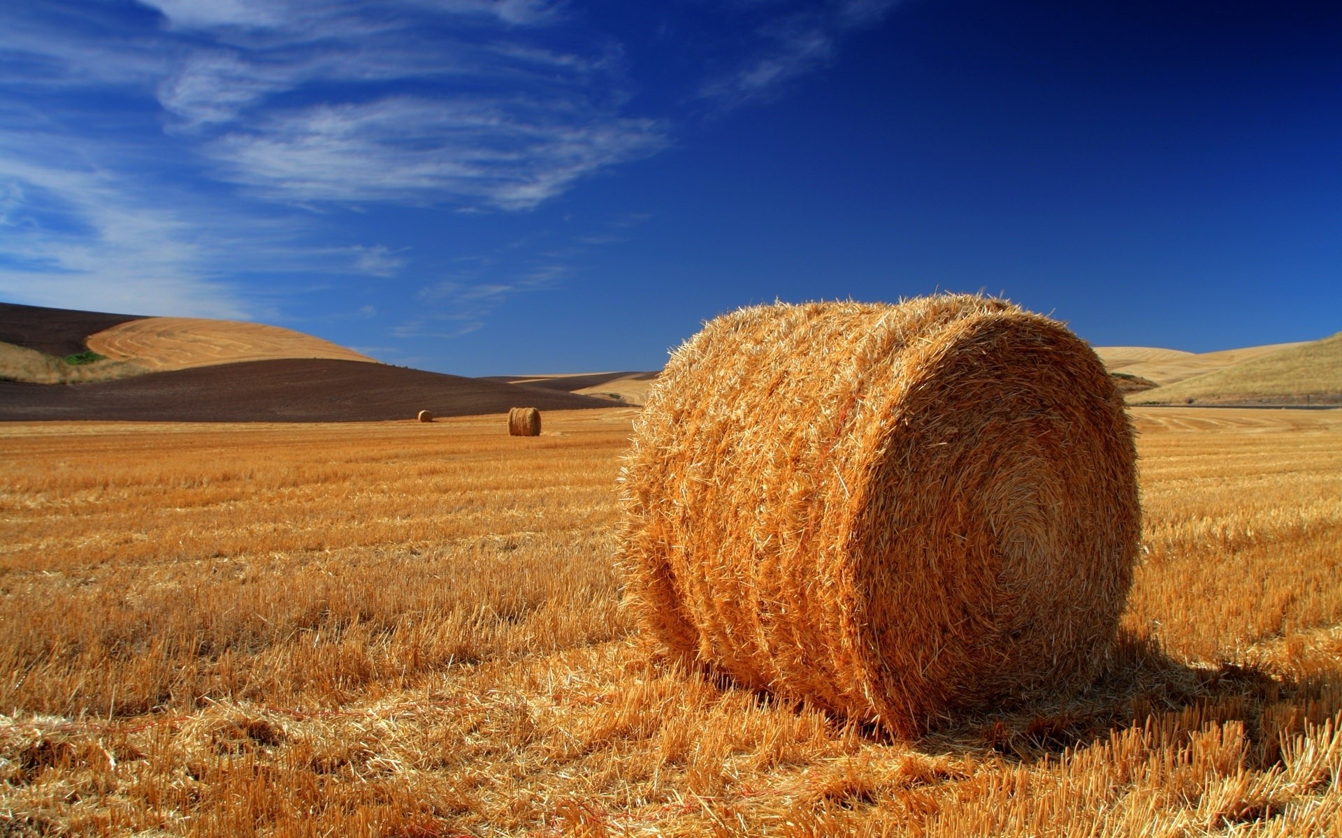 landscapes wheat hay straw rural pasture sky landscape agriculture countryside dry cereal outdoors rye nature farm field corn crop cropland scenery summer