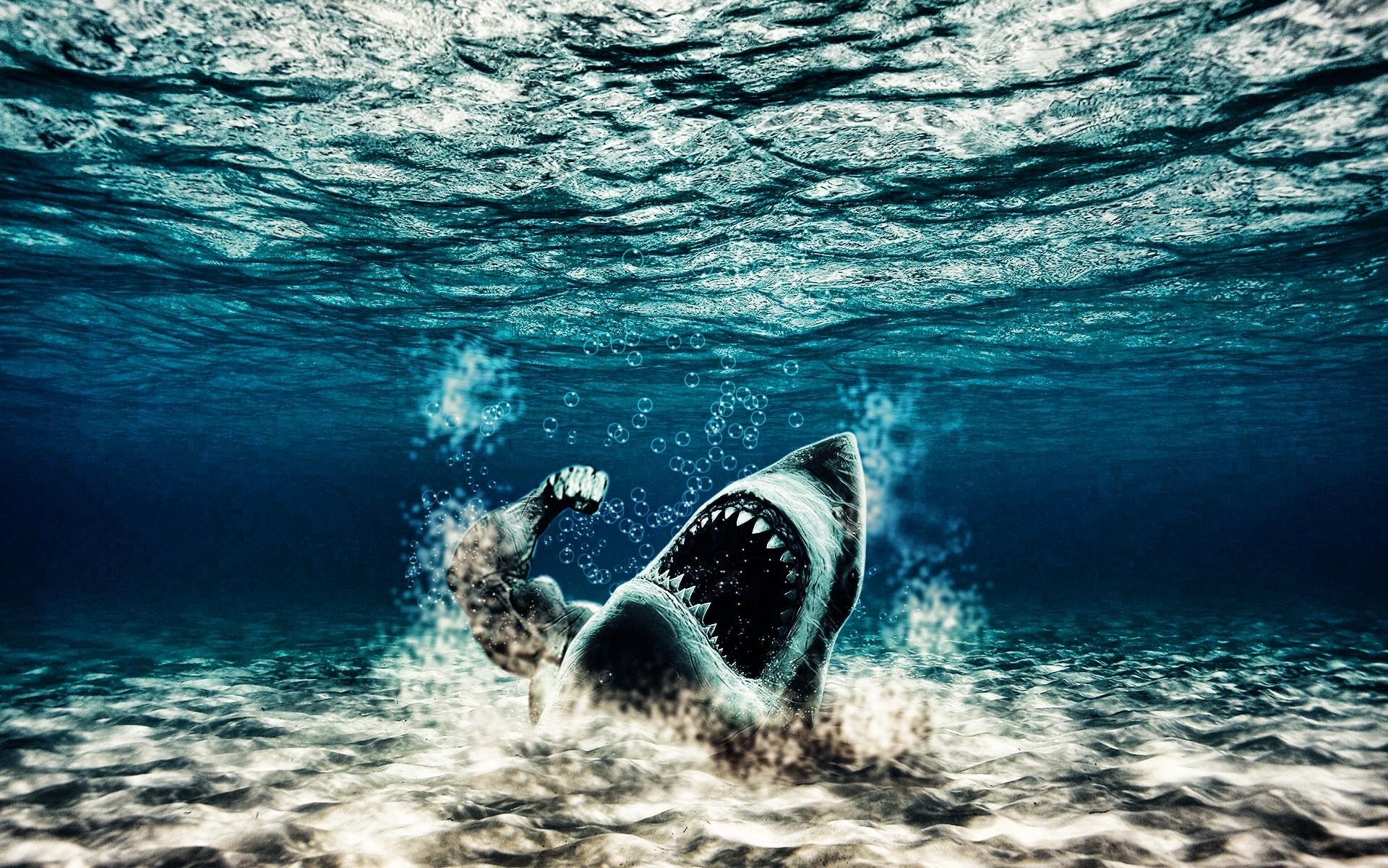 photo manipulation water ocean sea underwater travel nature marine swimming seascape muscles background