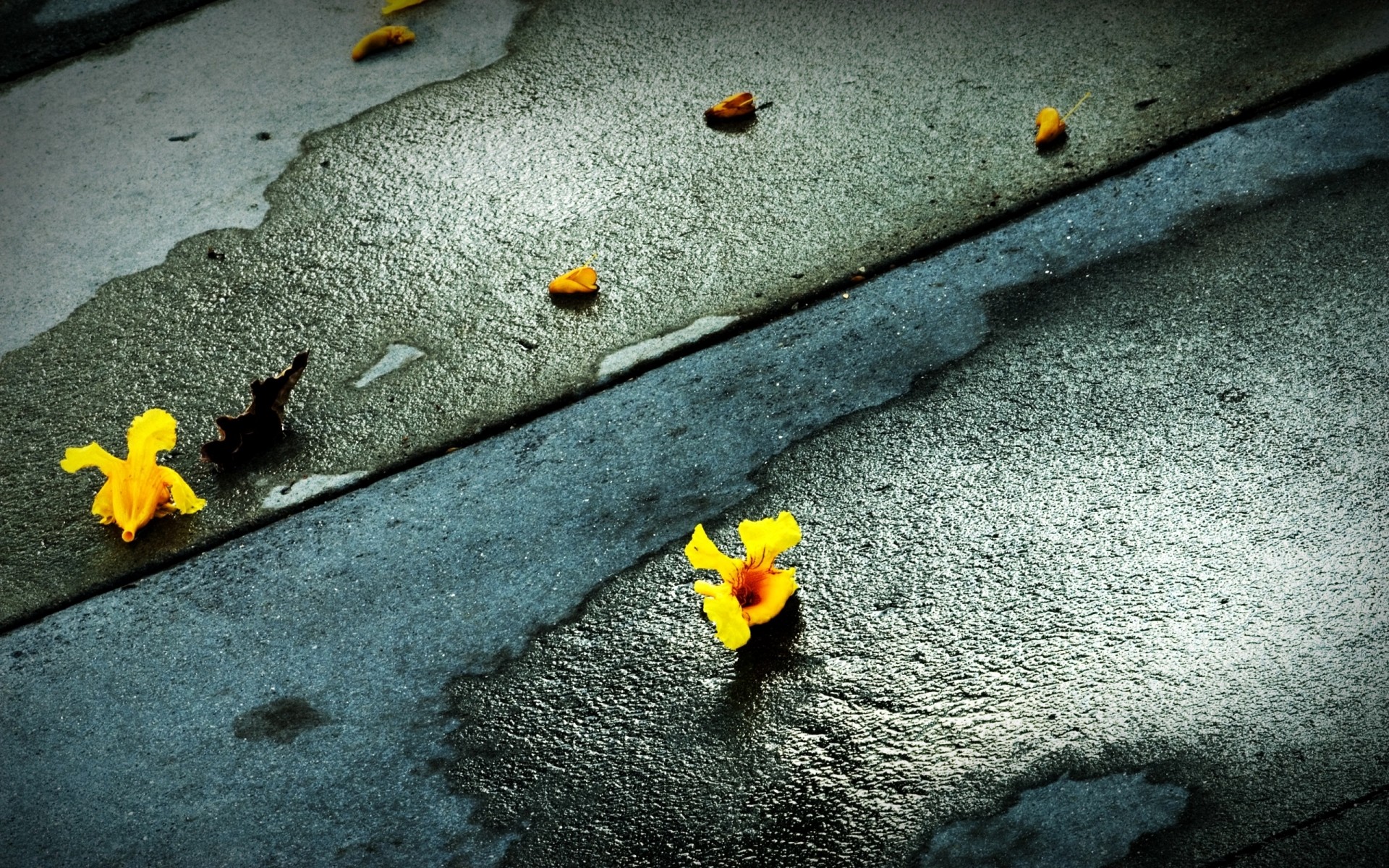 fleurs bureau texture pierre résumé sombre béton vieux murs nature route photo fond