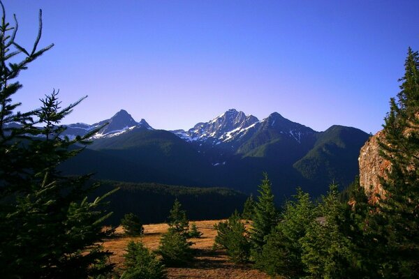 Berglandschaft und seltener Wald