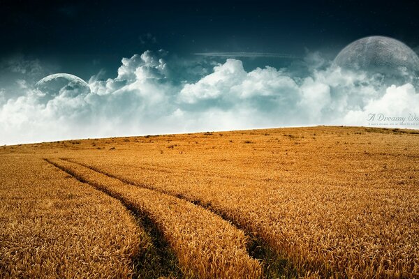 Processamento fotográfico paisagem agricultura trigo