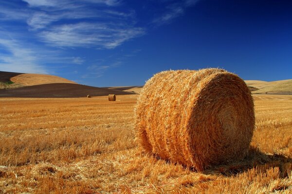 Heuhaufen im Feld an einem sonnigen Tag