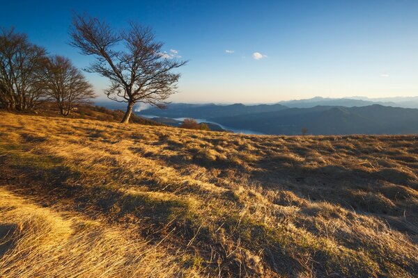 Belle nature sur fond de ciel bleu