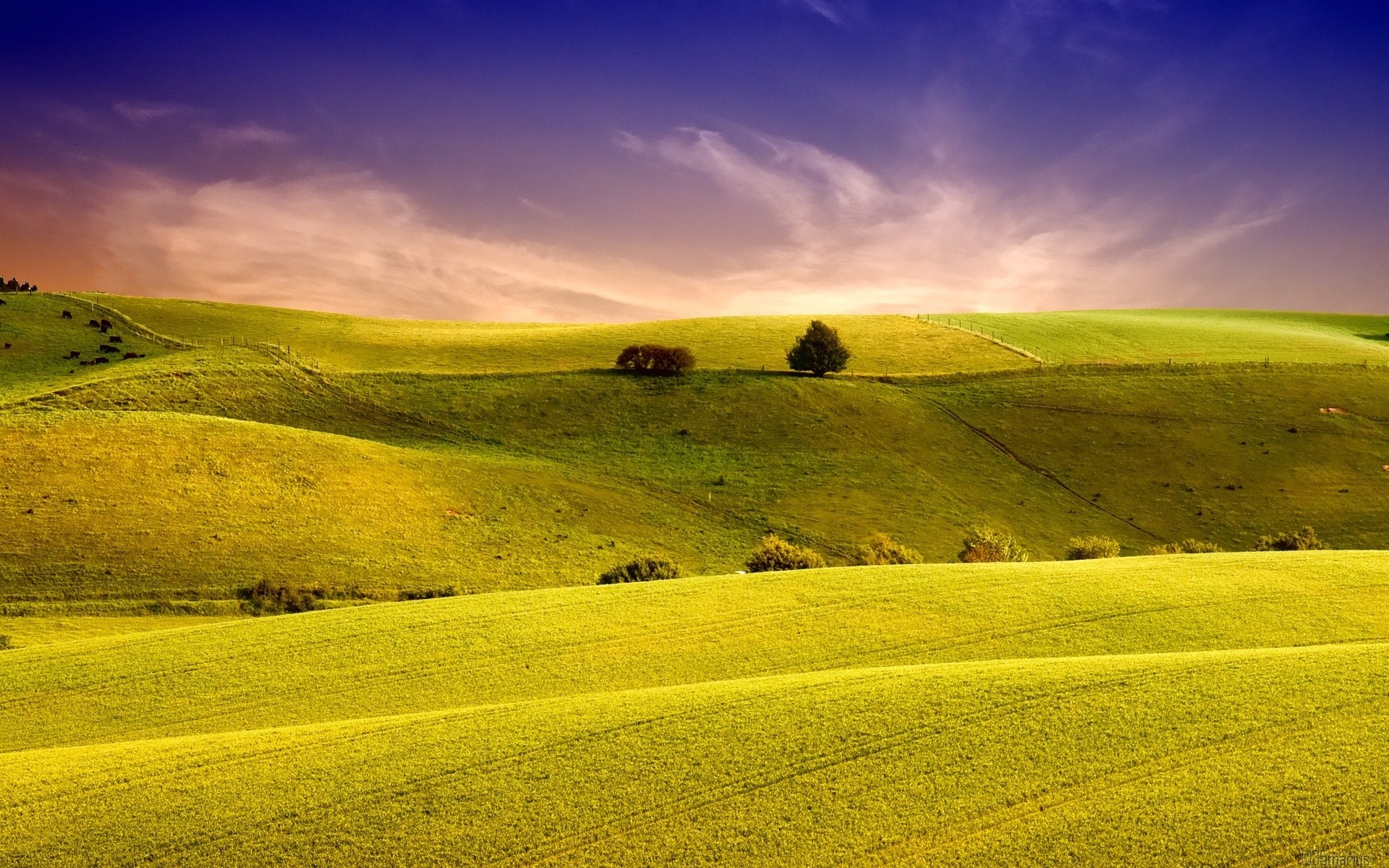 landscapes landscape field grass nature hayfield rural farm sky countryside agriculture summer country soil cloud pasture season sun flora farmland color scenery