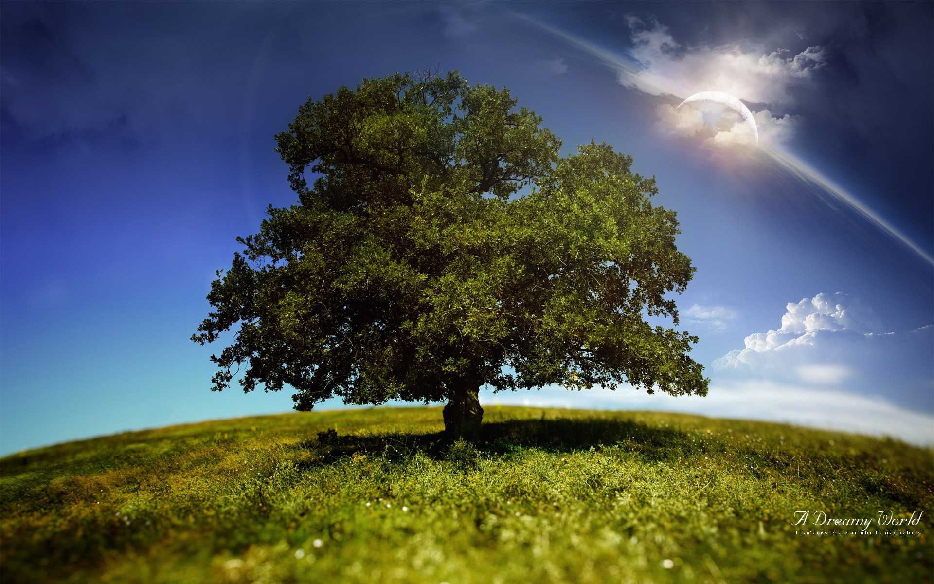 landscapes landscape tree nature sky grass hayfield sun outdoors scenic fair weather wood countryside environment field dawn horizon rural sight hill