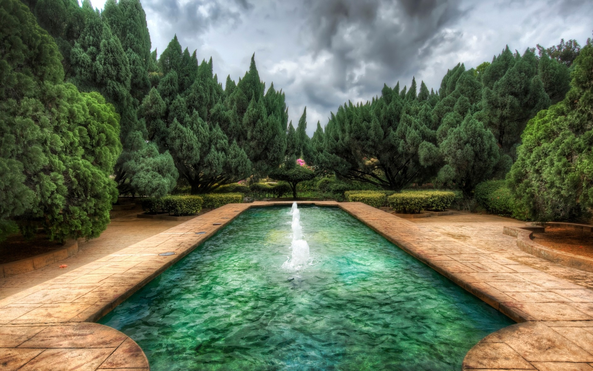 paesaggio acqua albero natura viaggi estate tropicale legno all aperto per il tempo libero paesaggio idillio alberi parco verde