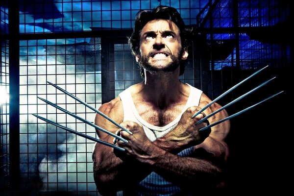 Wolverine zeigt ihre Krallen