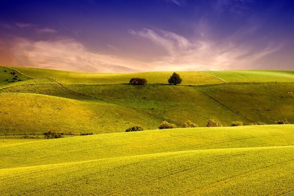 Fabuleux prairies ensoleillées à l aube