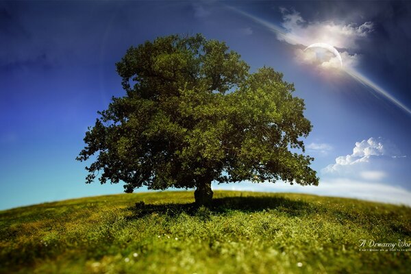 A tree standing alone under a partial solar eclipse in the sky