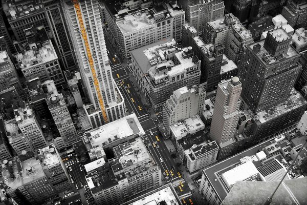 Black and white photo of skyscrapers with yellow accents