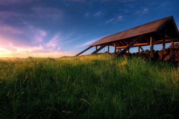 Sonnenaufgang im grünen Grasfeld