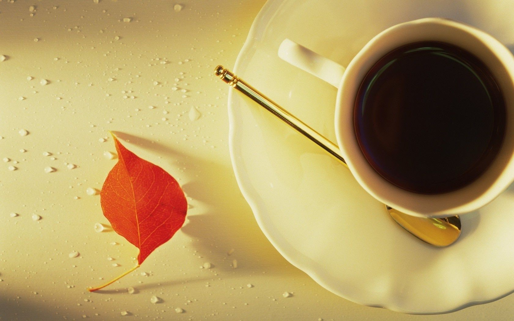 café bebida amanhecer copo quente cafeína líquido caneca espresso pires ainda vida café da manhã chá escuro comida cor perfume