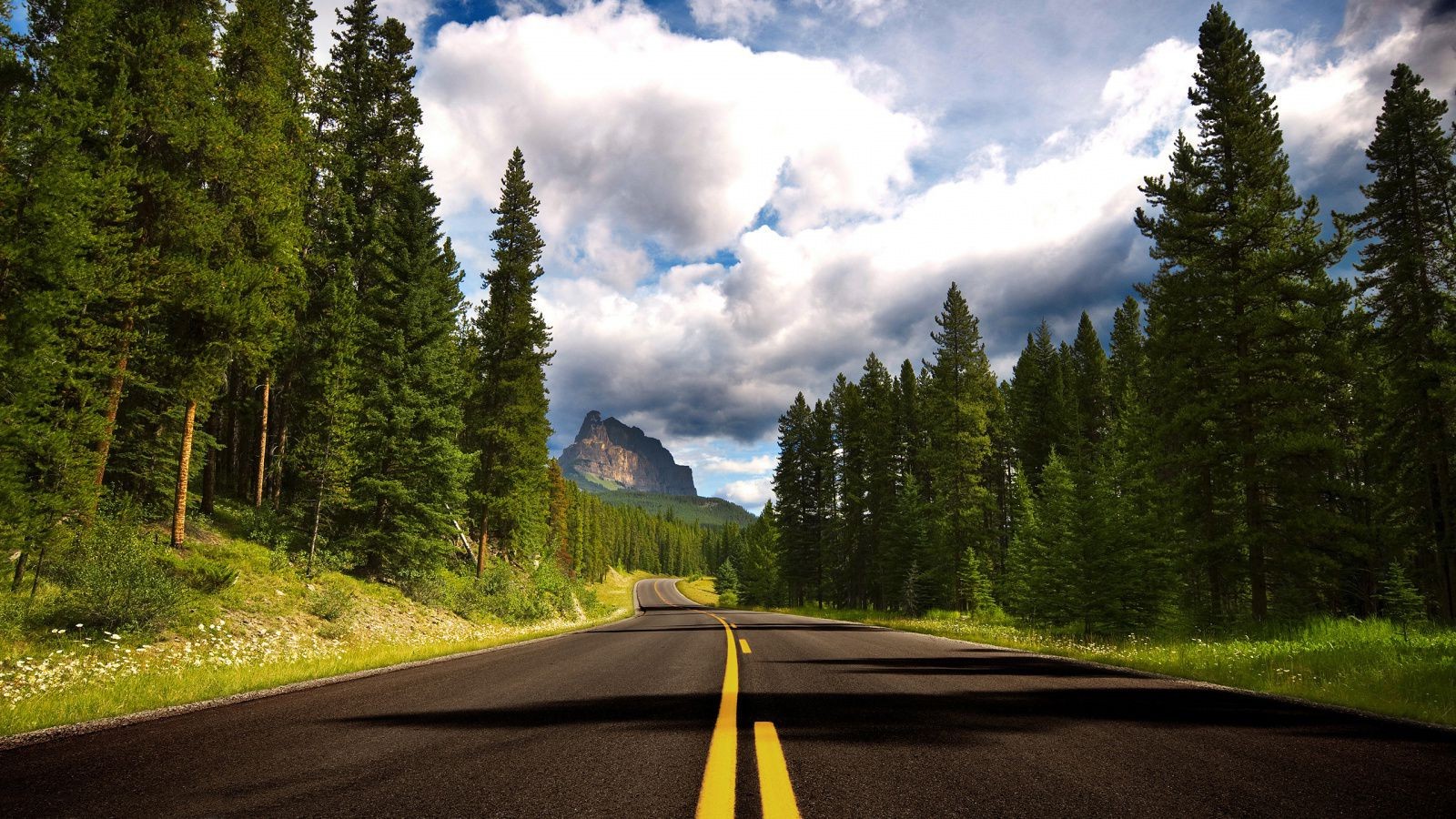 road outdoors wood highway tree asphalt travel nature landscape mountain guidance conifer transportation system scenic evergreen