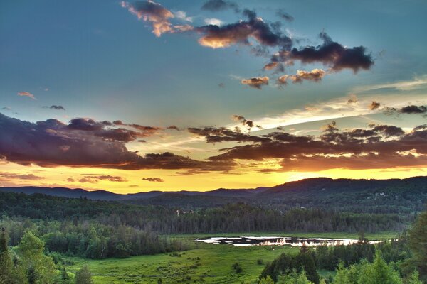 Bosque al atardecer