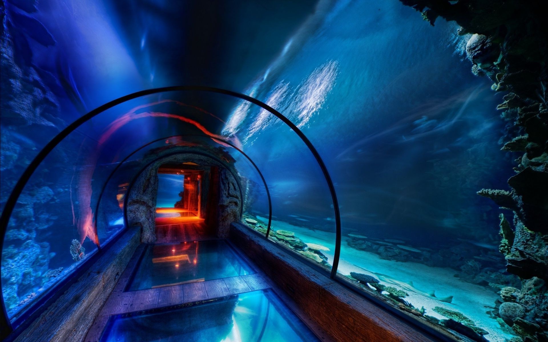 тоннель свет размытость путешествия транспортная система движения вечером пробка