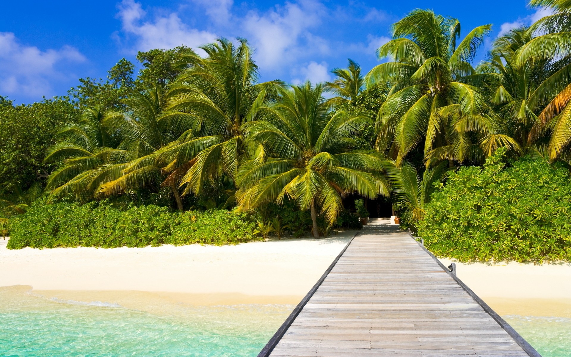 verano tropical palmas paraíso playa resort coco exótico idilio relajación isla arena vacaciones sol árbol laguna viajes mar turquesa paisaje mar cielo plantas agua