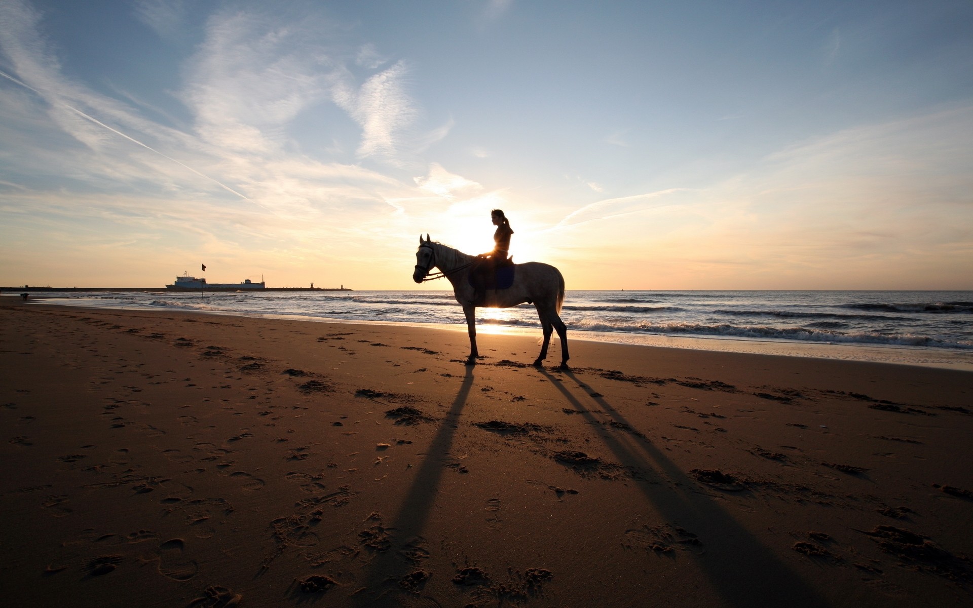 landscapes beach sand sunset sea water ocean seashore sun dawn travel landscape surf evening sky dusk summer backlit mare horse